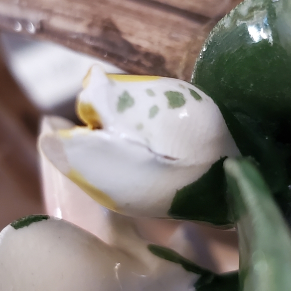 Vintage Capodimonte Flower Basket With 2 Roses And 2 Buds And Handle - Picture 10 of 11